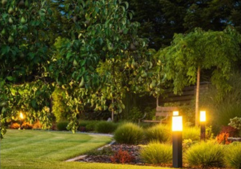 Backyard garden area illuminated at dusk by modern, low-level bollard landscape lighting fixtures along a winding path, highlighting trees and ornamental grasses for aesthetic and safety purposes.