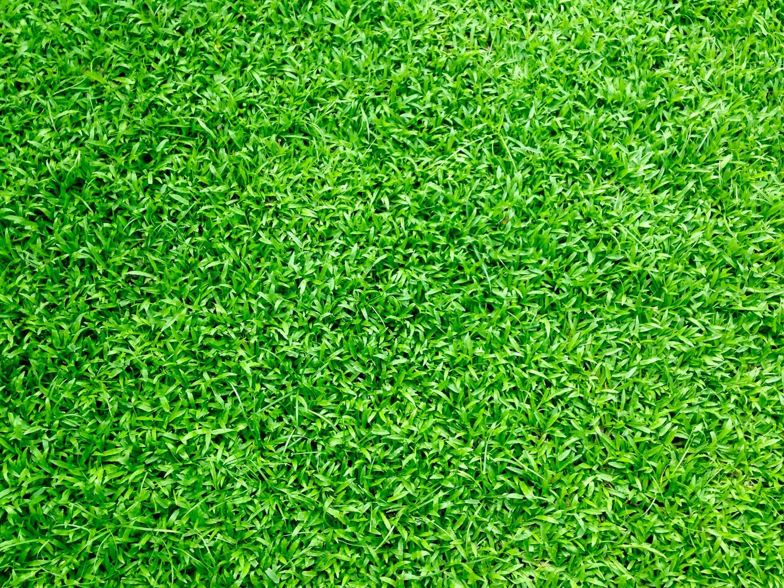 Artificial turf and xeriscape water savings Las Vegas